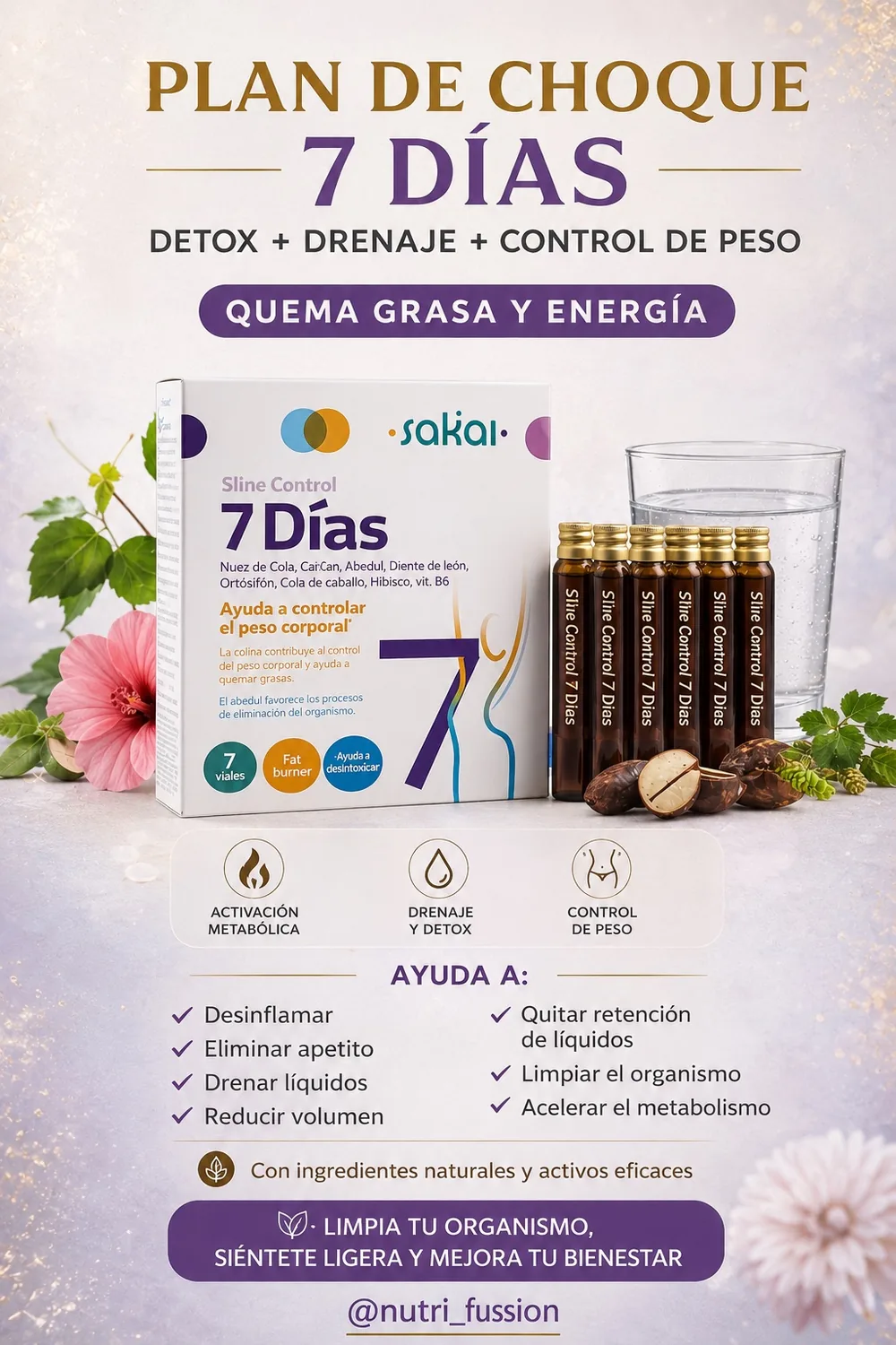 PLAN DE CHOQUE · 7 DÍAS